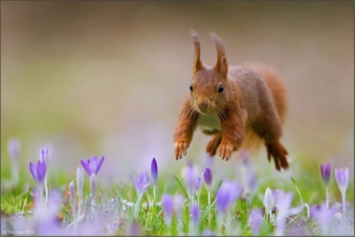 Spring into ACTION! Sign up for the Spring 2026 Monthly Payment Plan!